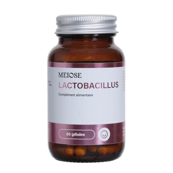 Lactobacillus : équilibre intestinal & défense naturelle